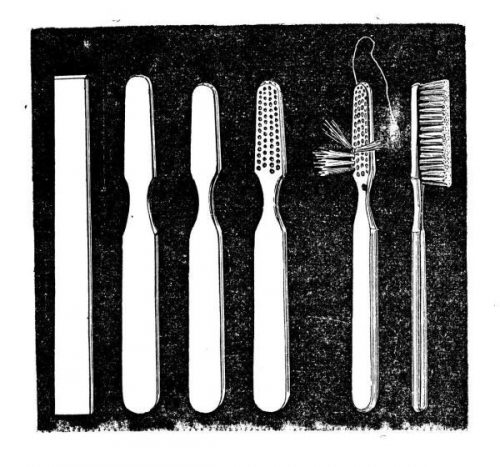 古代人用什么植物刷牙(古代不刷牙嘴不臭吗)插图8